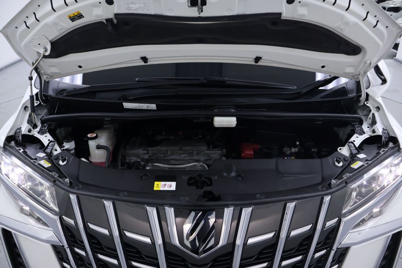 TOYOTA ALPLHARD 2.5 SC Package (Grey Market) 